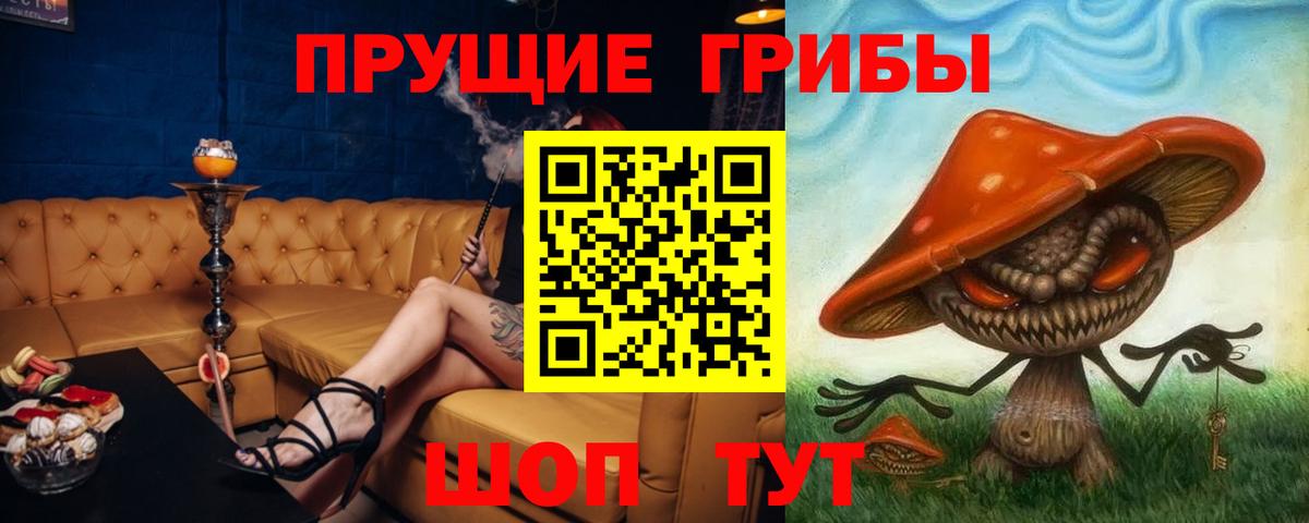 Галлюциногенные грибы GOLDEN TEACHER Кызыл